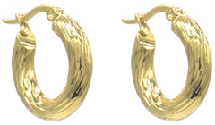 Alvyn Earrings - Goud - Oorbellen - Creool - 20mm - Stainless Steel