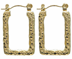 Auralisse Earrings - Goud - Oorbellen - Steen - Stainless Steel